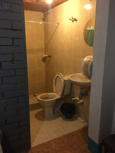 Bathroom 5, Hotel Pelman, Palmira