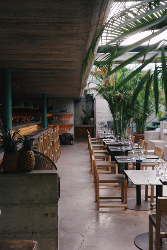 Food & Drinks 3, Casa TO - Adults Only, Dist. Pochutla