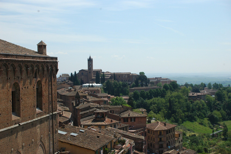 View from property 4, Farmhouse in Campriano, Arezzo
