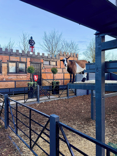 Property grounds 2, Copper Castle & Petting Farm near Legoland, Windsor and Maidenhead