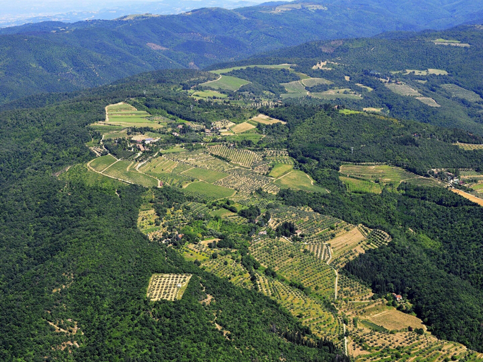 View from property 4, Cozy Farmhouse With Pool, Arezzo