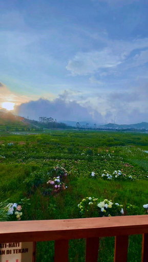 Others, View Cabin Duluxe by Sunflower, Wonosobo