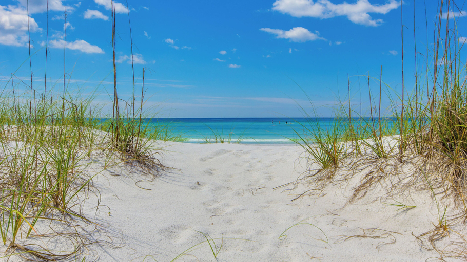 Beach 5, Seas the Day! Your Perfect 2BR Beachfront Escape! Sleeps 8!, Bay