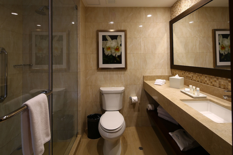 Bathroom 4, Hilton Garden Inn Cusco, Cusco