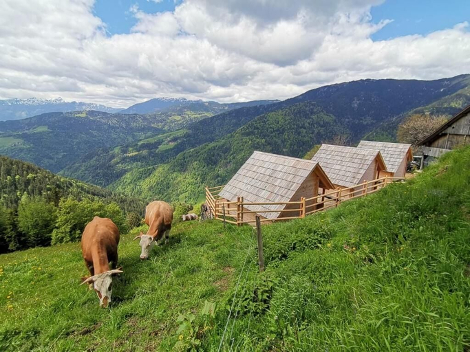 Miscellaneous 3, Farmstay&Glamping Visočnik, Ljubno