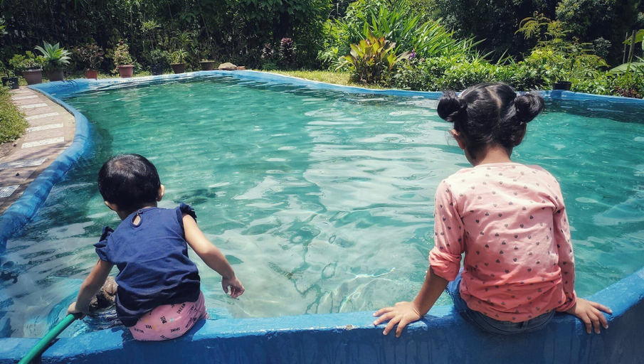 Pool 4, MountainBrew Homestay, Darjiling