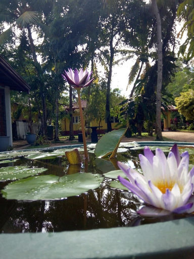 Sport & Beauty, Shenya Villa, Bentota