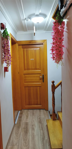 Interior 3, Tree house hotel, Fatih
