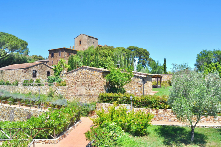 Exterior 4, Apartment in Campiglia Marittima, Livorno