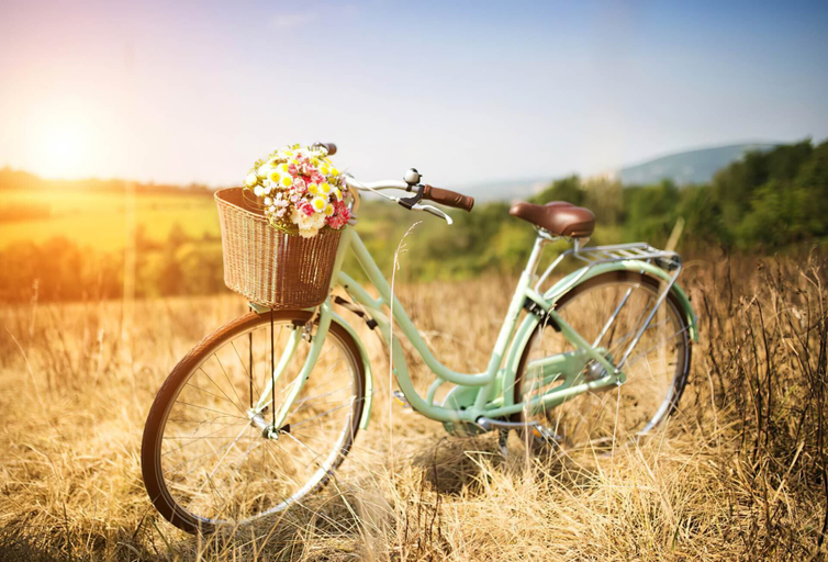 Bicycling, Agriturismo il Montoto - Nature & Relax, Grosseto