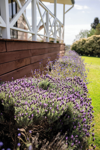 Property grounds 3, Drovers Run B&B and Events Venue, Coolamon