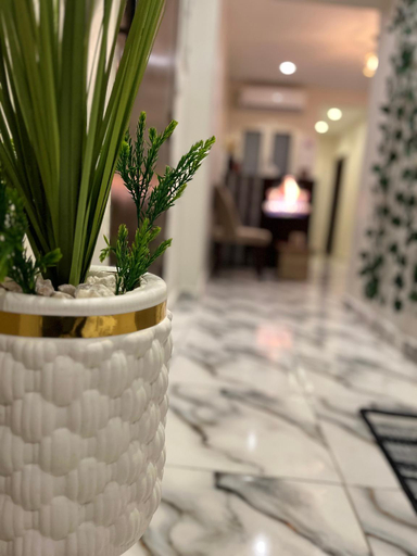 Reception 5, Holy pyramid hotel, Al-Ahram