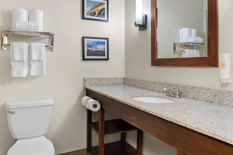 Bathroom 5, Comfort Inn & Suites Taylor - Detroit, Wayne