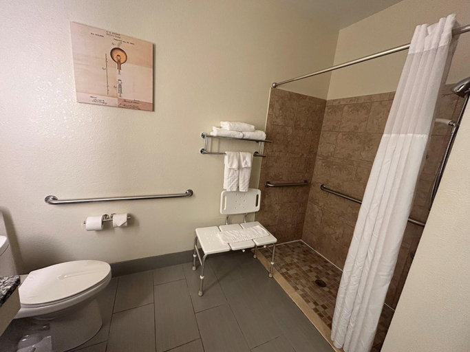 Bathroom 3, Best Western Plus Paper Valley Hotel, Outagamie