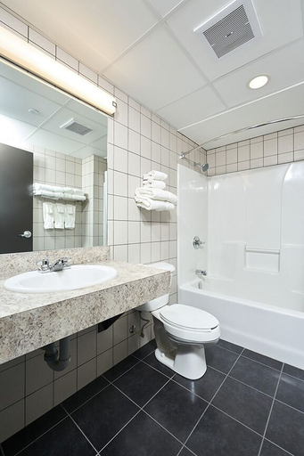 Bathroom 4, Canad Inns Destination Centre Transcona, Division No. 11