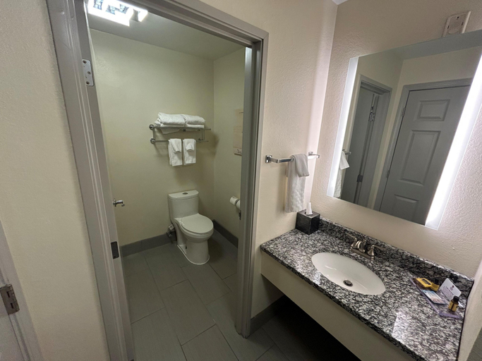 Bathroom 3, Best Western Plus Paper Valley Hotel, Outagamie