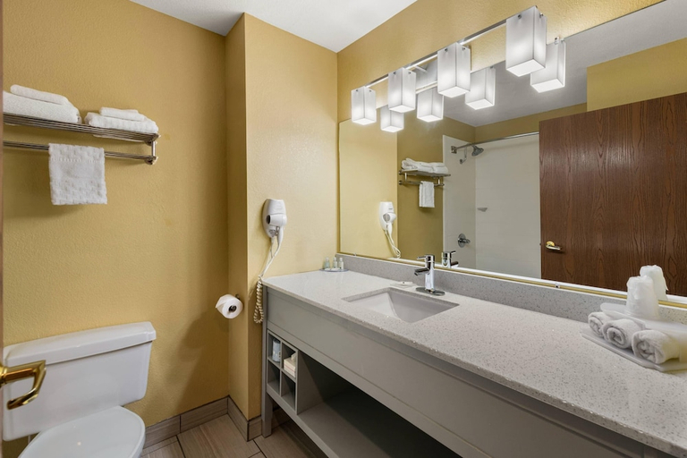 Bathroom 4, Quality Inn, Johnson