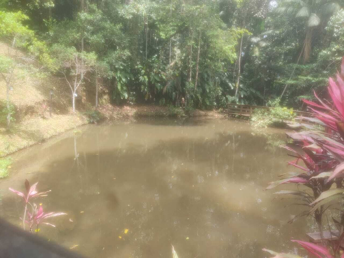 Miscellaneous, Cabana da Lagoa, Santo Amaro da Imperatriz