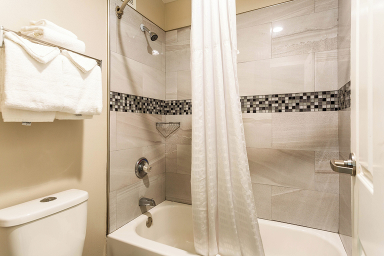 Bathroom 4, Econo Lodge  Inn & Suites, Rutherford