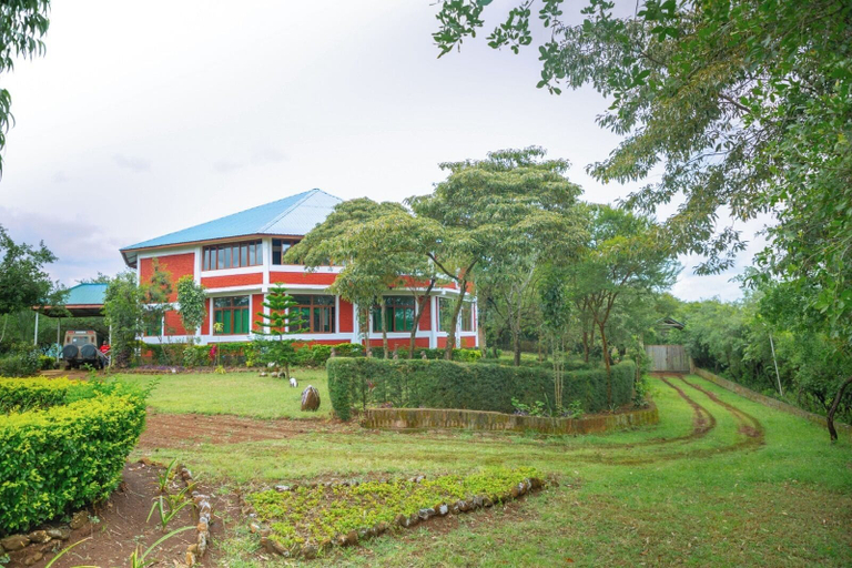 Exterior 3, Ancestors Lodge, Karatu