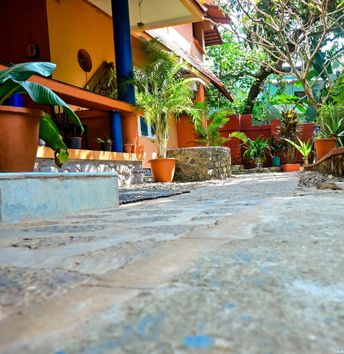 Property grounds 2, Home City Homestay & Ayurvedic Clinic, Thiruvananthapuram