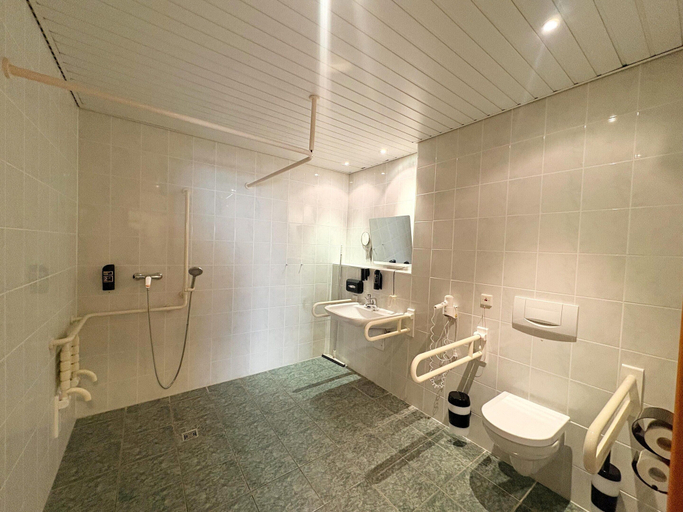 Bathroom, Kaiserhof Feldberg Wheelchair Accessible Room, Mecklenburgische Seenplatte