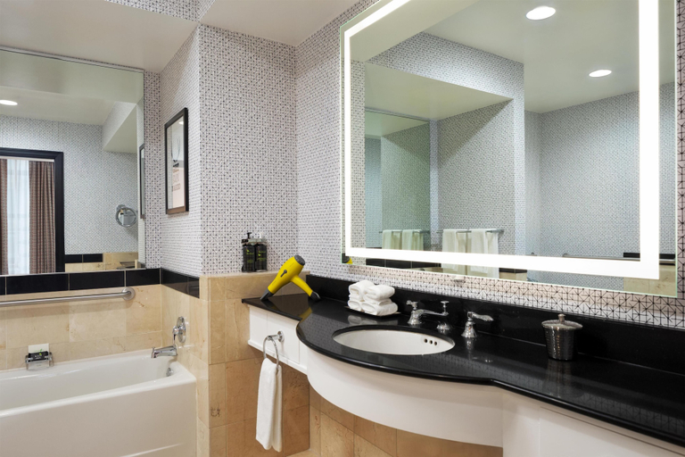 Bathroom 4, Hyatt Centric Downtown Minneapolis, Hennepin