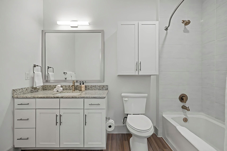 Bathroom 4, Placemakr Austin Downtown, Apartments by Hilton, Travis