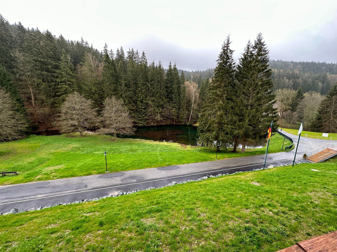 View from property, Sunday Schwarzbachtal-double Room Forest View, Vogtlandkreis