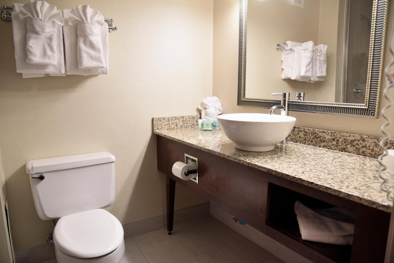 Bathroom 5, Spark by Hilton Akron Fairlawn, Summit