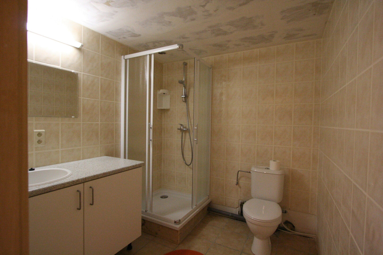 Bathroom 3, Farmhouse Stay in Ondenval, Liège