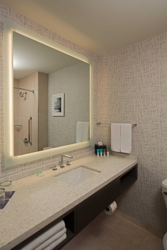 Bathroom 5, Hyatt Regency Cincinnati, Hamilton