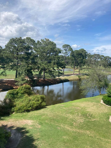 Interior 4, Callaway Corner Luxe Pet-friendly 2BR Condo, Horry