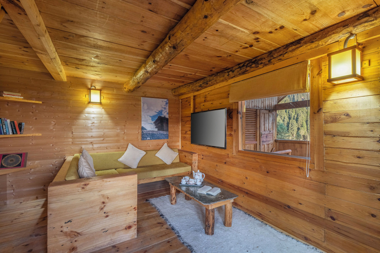 Living area, ELIVAAS Skylounge 4 BHK with Garden, Shimla