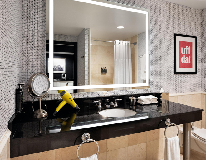 Bathroom 4, Hyatt Centric Downtown Minneapolis, Hennepin