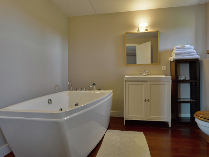 Bathroom 3, Lavish Castle in Thimister With Turkish Steambath, Sauna, Liège