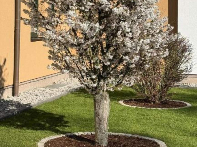 Garden, Kaiserhof Feldberg by Belvilla Resorts Single Room, Mecklenburgische Seenplatte