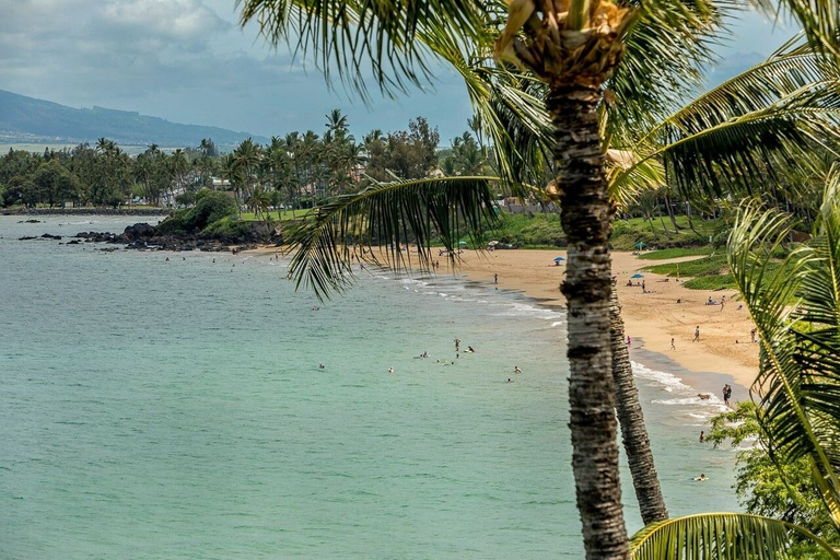 Beach 4, Hale Kamaole 336 3 Bedroom Condo, Maui