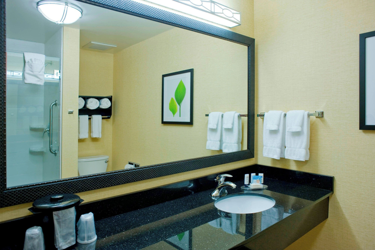 Bathroom 4, Fairfield Inn & Suites Columbus, Lowndes