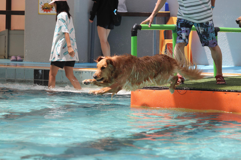 Others 3, Dog Resort Woof, Yamanakako