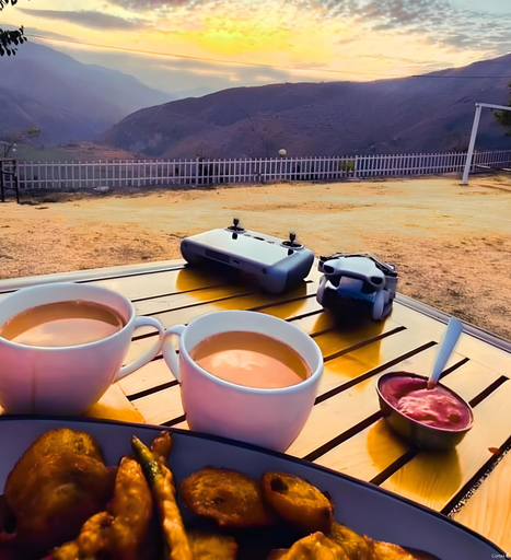 Food & Drinks, Kafal Village Wood House, Tehri Garhwal