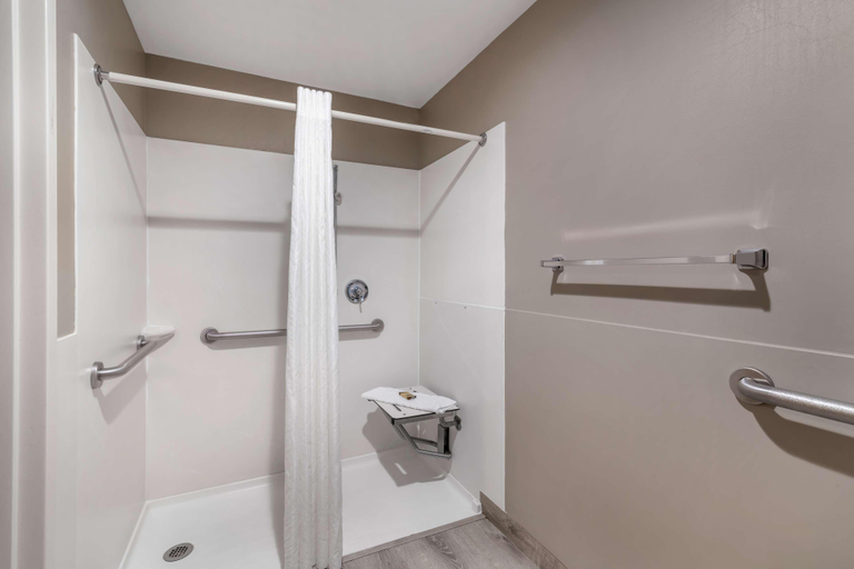 Bathroom 4, Bw Plus Executive Court Inn & Conference Center, Hillsborough