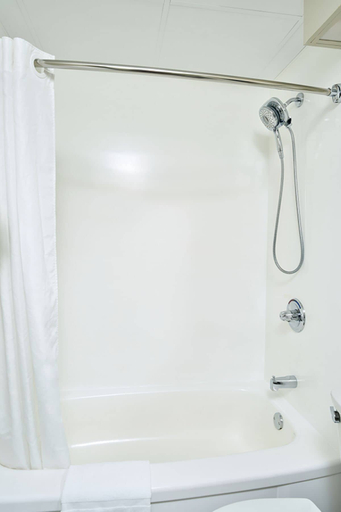 Bathroom 4, Canad Inns Destination Centre Windsor Park, Division No. 11