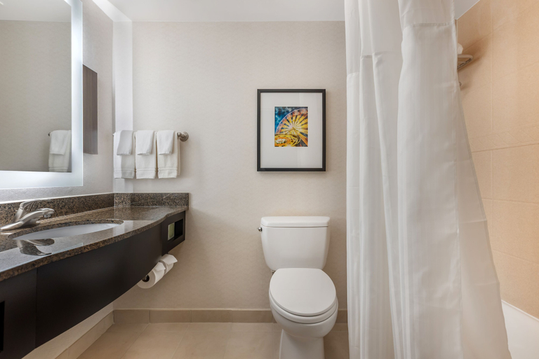 Bathroom 5, Hilton Garden Inn Columbia Northeast, Richland