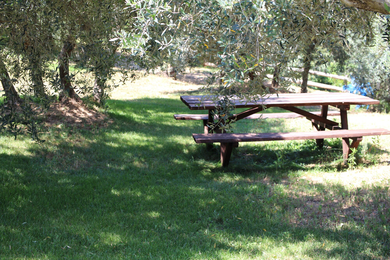 Outdoor dining 5, Il Mandorlo, Cosenza