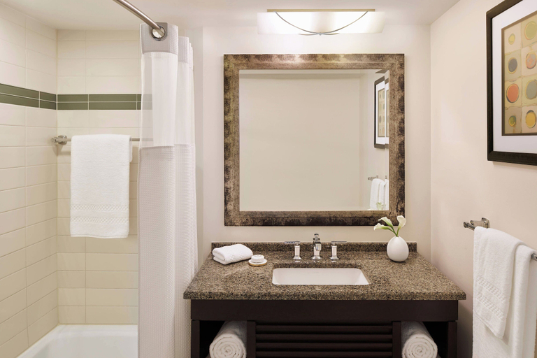 Bathroom 5, The Coral at Atlantis