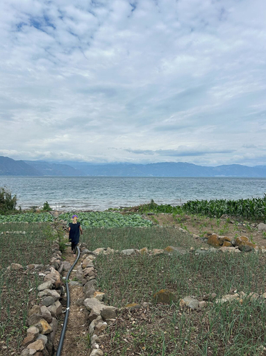 Beach 2, La Cocina Bonita, San Pedro La Laguna