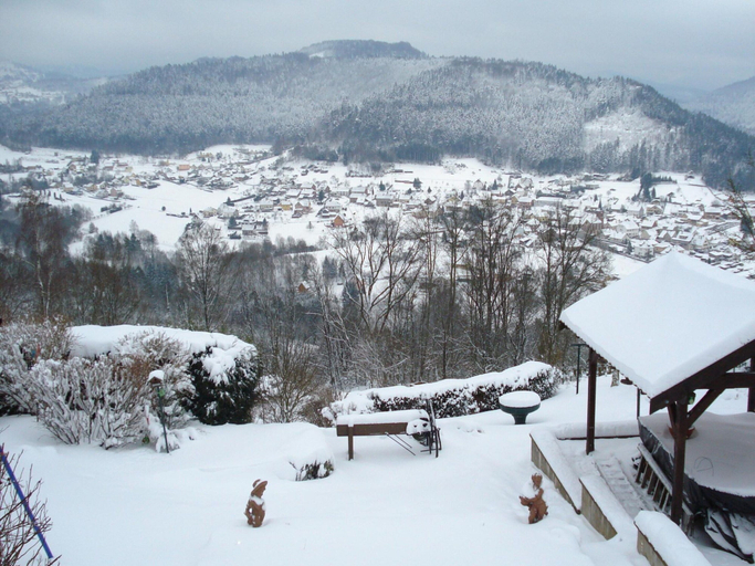 Exterior 2, Gite With Views of the Vosges Mountains, Moselle