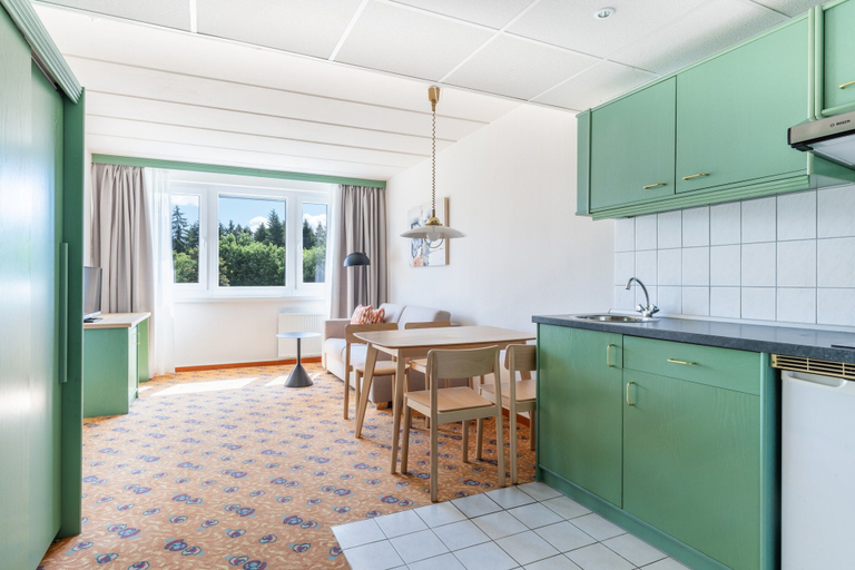 Private kitchen 2, Chalet in Vogtland With Ski Area & Water Park, Vogtlandkreis