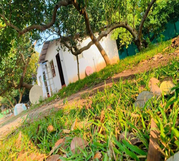 Garden 5, sree veda wellness resort, Viluppuram